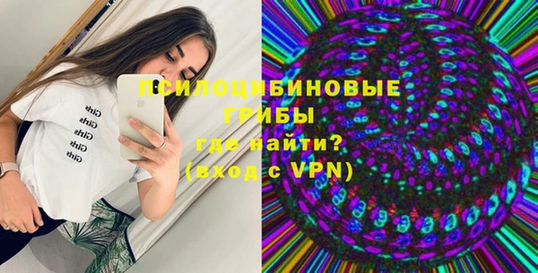 первитин Каменка