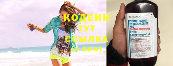первитин Каменка